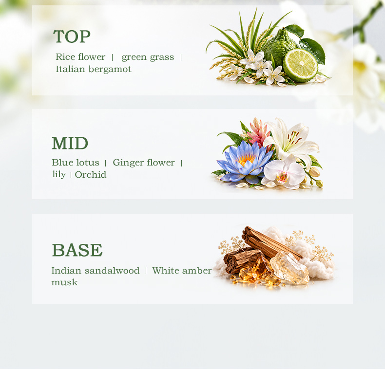 dq1229-wet-garden-fragrance-oil (3).jpg